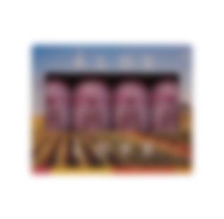 4PACK ALOE BERRY NECTAR